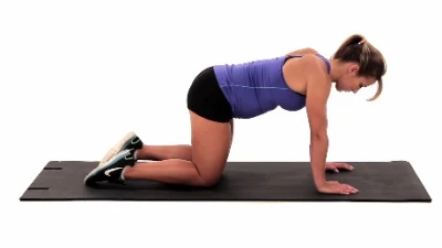 Quadruped Diaphragmatic Breathing