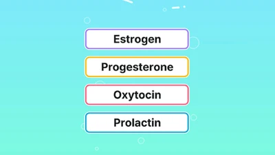 Happening with My Hormones?